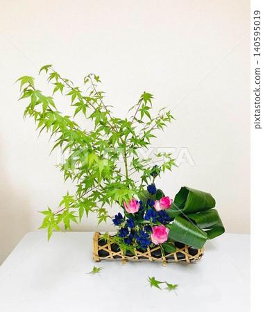 一款夏季插花作品,由楓葉、龍膽、玫瑰和蜘蛛抱蛋葉組成。 一款夏季插花作品,由楓葉、龍膽、玫瑰和蜘蛛抱蛋葉組成。 140595019