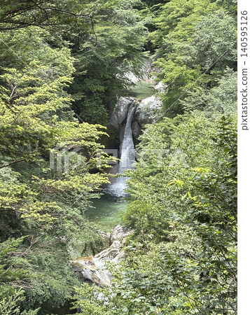 The Jinja Falls, visible through the lush green forest of the Ojiragawa Valley in Yamanashi Prefecture. The Jinja Falls, visible through the lush green forest of the Ojiragawa Valley in Yamanashi Prefecture. 140595126