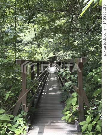 A wooden suspension bridge spanning a green tunnel in the Ojiragawa Valley, Yamanashi Prefecture. A wooden suspension bridge spanning a green tunnel in the Ojiragawa Valley, Yamanashi Prefecture. 140595129