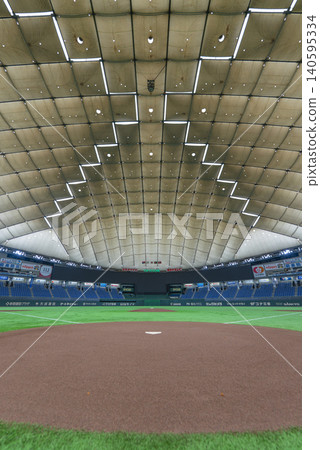[Vertical photo] Tokyo Dome 140595334