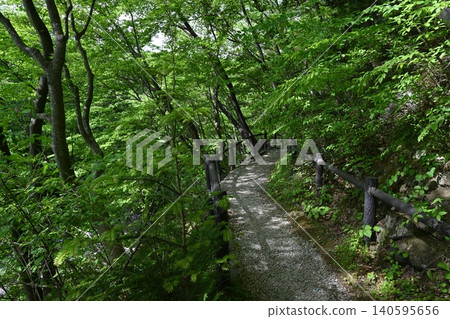在清爽的季節漫步於美麗的木俁公園，真是無比愜意。 140595656