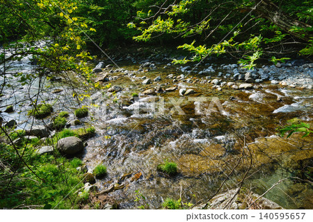 A truly luxurious moment: strolling through the beautiful Kinomata Park in a refreshing season. A truly luxurious moment: strolling through the beautiful Kinomata Park in a refreshing season. 140595657