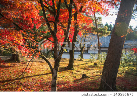 colorful autumn maple foliage garden at Nanzen-ji Temple at sunset, Kyoto colorful autumn maple foliage garden at Nanzen-ji Temple at sunset, Kyoto 140595675