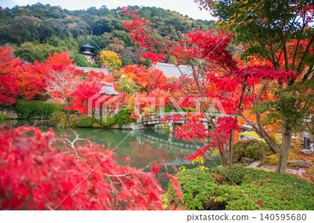 Colorful maple leaf by pond of Eikando temple garden in fall, Kyoto 140595680