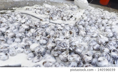 Male hand in glove stirs snails shells in creamy sauce with long spoon during cooking process in restaurant kitchen. The snails simmer gently on metal cooking surface coated in rich sauce. Slow motion Male hand in glove stirs snails shells in creamy sauce with long spoon during cooking process in restaurant kitchen. The snails simmer gently on metal cooking surface coated in rich sauce. Slow motion 140596039