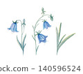 Hand drawn watercolor bellflowers and leaves isolated collection. Blue meadow flowers in soft pastel tones. Botanical illustration for stationery, fabric, packaging, invitations, cards, loral branding 140596524