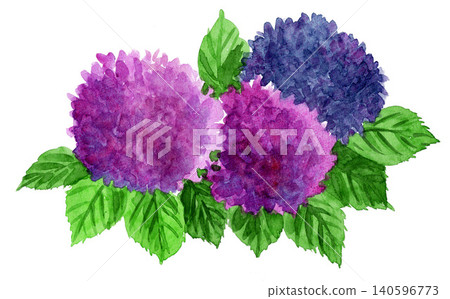 Hydrangeas painted in watercolor (26619 pixels) Hydrangeas painted in watercolor (26619 pixels) 140596773