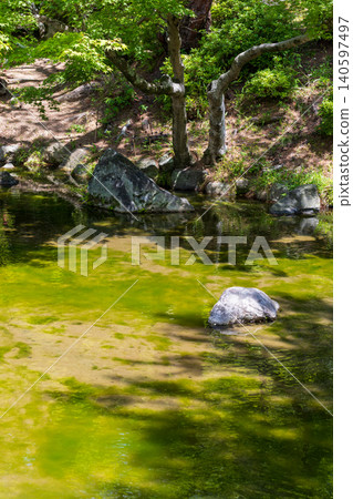 京都,圓山公園池塘 京都,圓山公園池塘 140597497