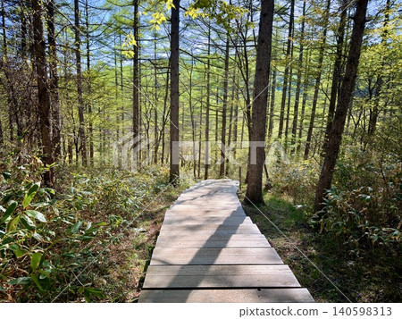 從長野縣入笠濕地八岳展望台可以欣賞到壯麗的自然風光和鄉村景色。 140598313