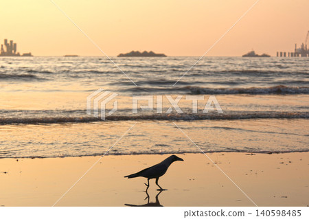 Mumbai Maharashtra India Jan 18 2026 Silhouetted crow standing on wet beach sand at sunset with golden sea reflections and gentle waves creating a peaceful coastal wildlife scene at Juhu Beach 140598485