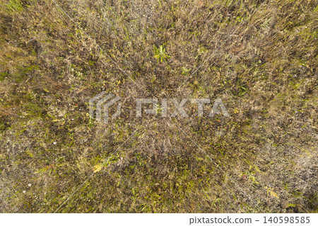 wild field, view from above wild field, view from above 140598585