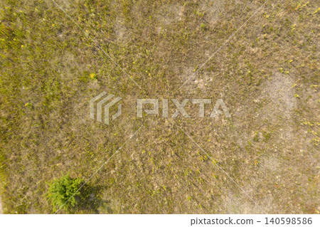 wild field, view from above wild field, view from above 140598586