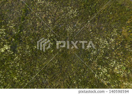 wild field, view from above wild field, view from above 140598594