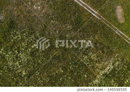 wild field, view from above wild field, view from above 140598595