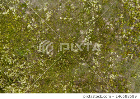 wild field, view from above wild field, view from above 140598599