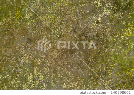 wild field, view from above wild field, view from above 140598601