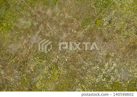 wild field, view from above wild field, view from above 140598602