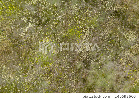 wild field, view from above wild field, view from above 140598606
