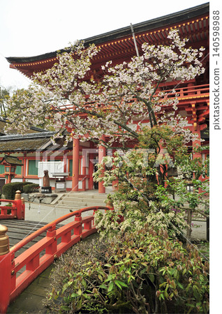 上賀茂神社:正門與櫻花 上賀茂神社:正門與櫻花 140598988
