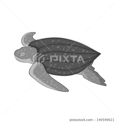 Grey marine turtle clipart graphic element for ocean theme design. Grey marine turtle clipart graphic element for ocean theme design. 140599021