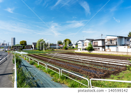 South side of Kaminohara Park, west of Harayama Street, Shibasaki, Chofu City, Tokyo 140599142