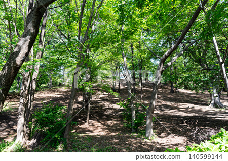 A stroll through Kaminohara Park, east of Harayama Street, Shibasaki, Chofu City, Tokyo 140599144