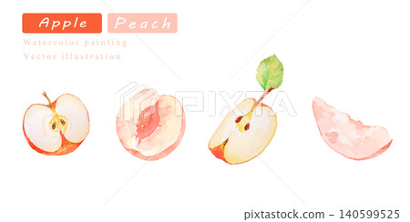 蘋果和桃子的水彩向量插圖 蘋果和桃子的水彩向量插圖 140599525
