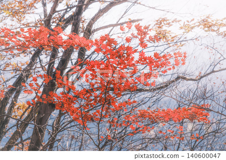 Myogi mountain in autumn Myogi mountain in autumn 140600047