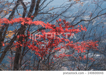 Myogi mountain in autumn 140600048