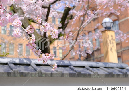 A traditional Japanese image photo of early-blooming cherry blossoms in Kyoto. A traditional Japanese image photo of early-blooming cherry blossoms in Kyoto. 140600114