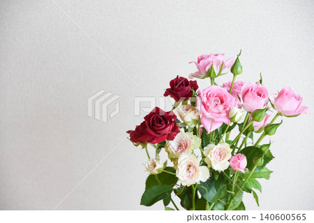 Red and pink roses Red and pink roses 140600565
