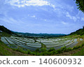 Water-filled rice terraces 140600932