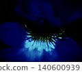 flowers floating in the dark 140600939