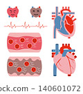 The human heart and blood vessels 140601072