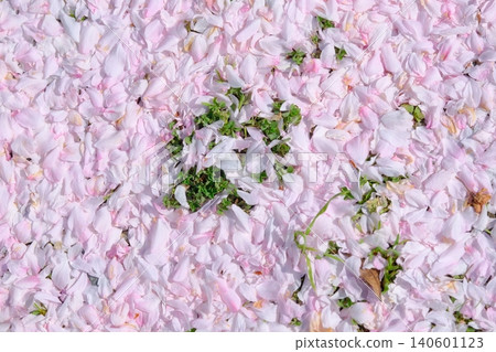 Petal texture material Petal texture material 140601123