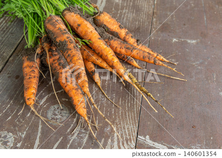 Freshly harvested carrots with earthy roots displayed on a rustic wooden table in natural light Freshly harvested carrots with earthy roots displayed on a rustic wooden table in natural light 140601354