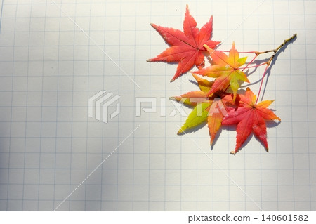 Autumn image material of notebook and maple leaves Autumn image material of notebook and maple leaves 140601582