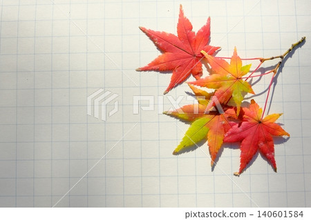 Autumn image material of notebook and maple leaves Autumn image material of notebook and maple leaves 140601584
