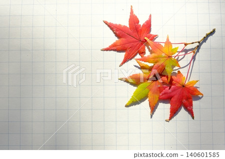 Autumn image material of notebook and maple leaves 140601585