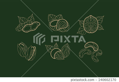 Nuts collection pistachio, almond, hazelnut, walnut, cashew illustrations with leaves drawing in linear art deco style on green background 140602170