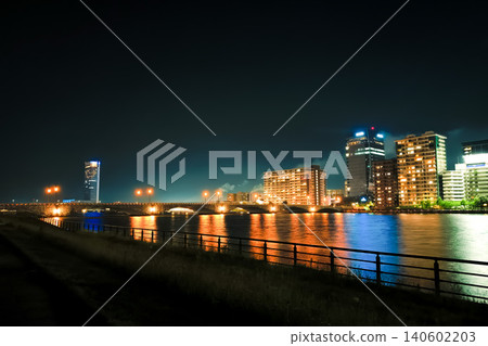 從信濃川左岸安樂木堤岸綠地（新潟市）眺望萬代大橋的夜景 140602203