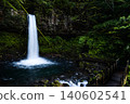 Manjo Falls, Fireflies, Izu 140602541