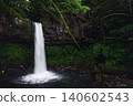 Manjo Falls, Fireflies, Izu 140602543