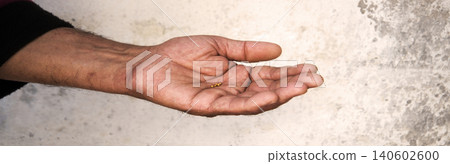 Small mustard seeds in the hand Small mustard seeds in the hand 140602600