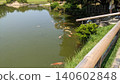 carp floating in the pond 140602848