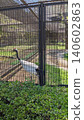 A landscape with Japanese cranes 140602863