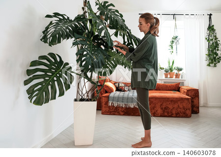 Cheese Plant Care: Middle-Aged Woman Tending to Monstera Deliciosa Cheese Plant Care: Middle-Aged Woman Tending to Monstera Deliciosa 140603078