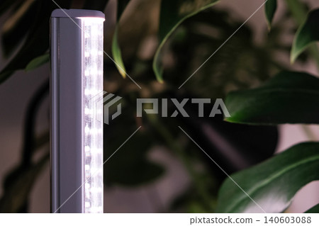 Monstera Deliciosa leaf with a vertical stylish phytolamp for full spectrum lighting. indoor plant care Monstera Deliciosa leaf with a vertical stylish phytolamp for full spectrum lighting. indoor plant care 140603088