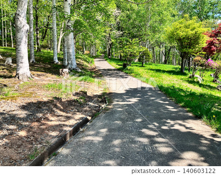 Otaru Park Walking Path, Otaru City, Hokkaido, Fresh Greenery Otaru Park Walking Path, Otaru City, Hokkaido, Fresh Greenery 140603122
