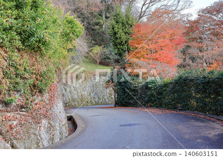 Beautiful Alley, pedestrian path along the tree Full of fallen leaves in garden during autumn. Beautiful Alley, pedestrian path along the tree Full of fallen leaves in garden during autumn. 140603151